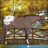 Horse Color:Chocolate Grullo Varnish 