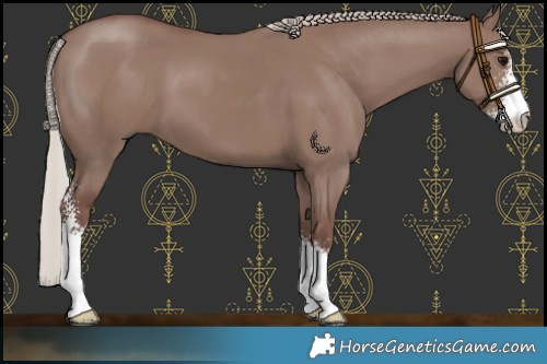 Horse Color:Chocolate Silver Grullo Sabino 