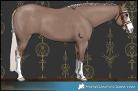 Horse Color:Chocolate Silver Grullo Sabino 