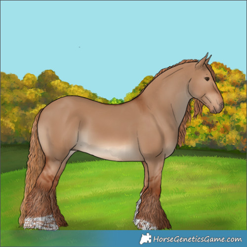 Horse Color:Red Dun Tobiano 