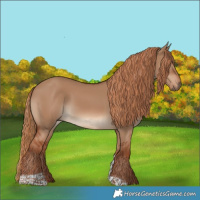 Horse Color:Red Dun Tobiano 