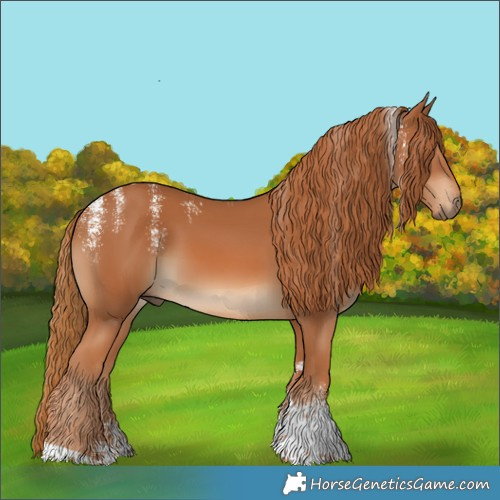 Horse Color:Powder White Chestnut Tobiano