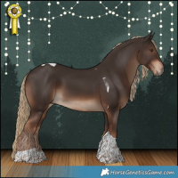 Horse Color:Liver Chestnut Tobiano
