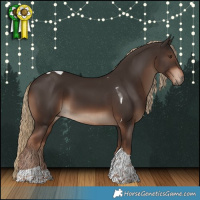 Horse Color:Liver Chestnut Tobiano