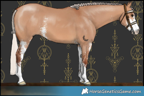 Horse Color:Chocolate Silver Bay Dun Sabino 