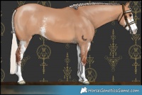 Horse Color:Chocolate Silver Bay Dun Sabino