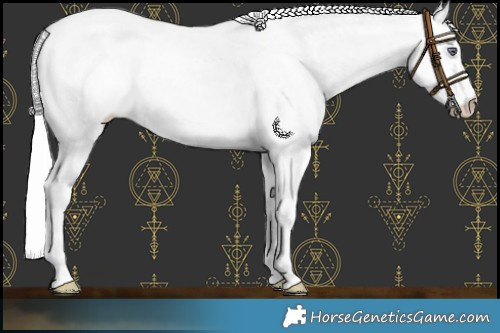 Horse Color:Chocolate Silver Smoky Creme Chinchilla Dun Rabicano 