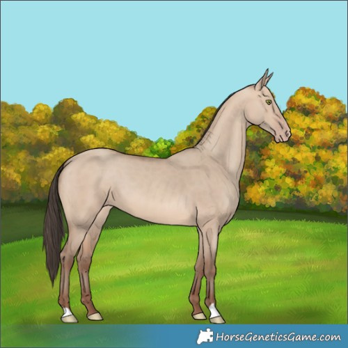 Horse Color:Sable Champagne Dun 
