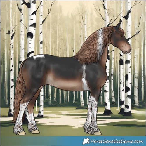 Horse Color:Liver Chestnut Tobiano