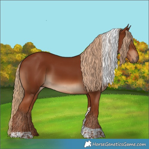 Horse Color:Chestnut Tobiano