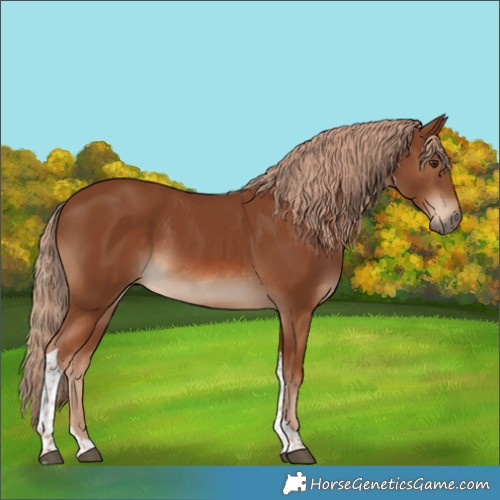 Horse Color:Chestnut Tobiano 