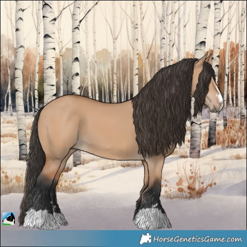 Horse Color:Bay Dun 