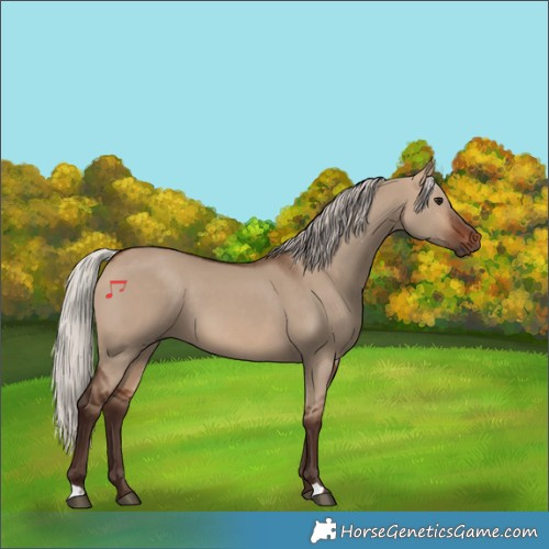 Horse Color:Silver Brown Dun 