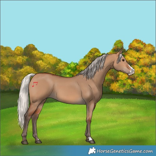 Horse Color:Silver Bay Dun Frame 