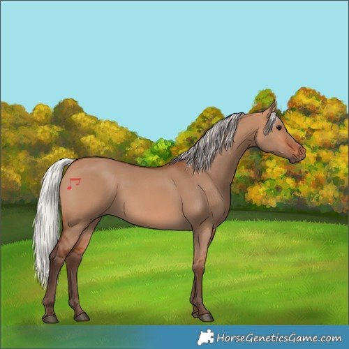 Horse Color:Silver Bay Dun
