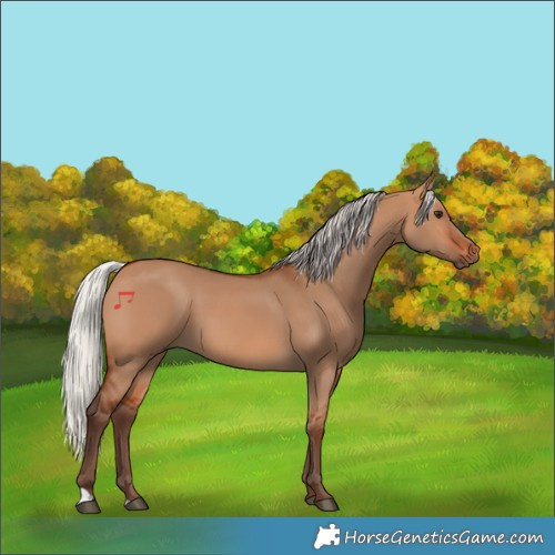 Horse Color:Silver Bay Dun 