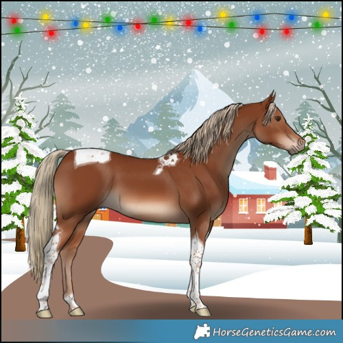 Horse Color:Chestnut Tobiano