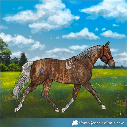 Horse Color:Silver Buckskin Tobiano  and Silver Brown Tobiano 