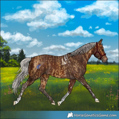 Horse Color:Silver Buckskin Tobiano and Silver Brown Tobiano