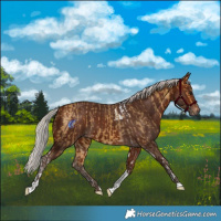 Horse Color:Silver Buckskin Tobiano  and Silver Brown Tobiano 