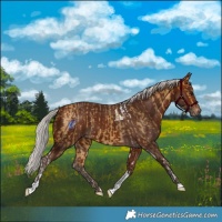 Horse Color:Silver Buckskin Tobiano and Silver Brown Tobiano