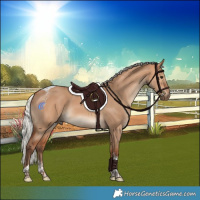 Horse Color:Powder White Silver Bay Dun Tobiano Rabicano
