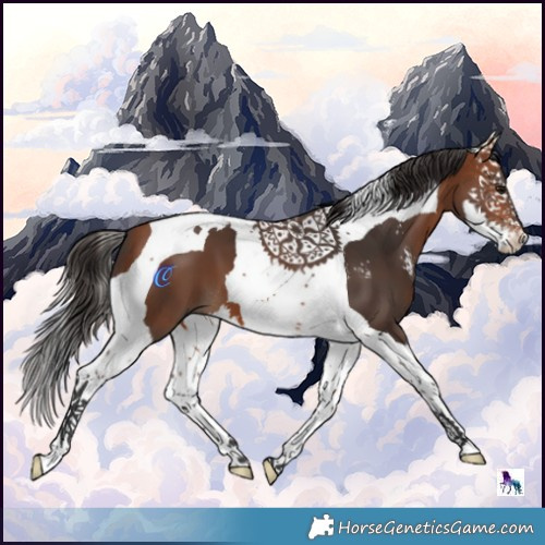 Horse Color:Bay Sabino Splash Tobiano 
