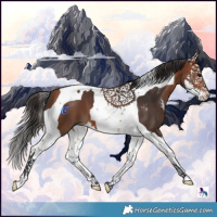 Horse Color:Bay Sabino Splash Tobiano 