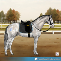 Horse Color:White Spotted Brown Ice Onyx Sabino Rabicano