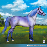 Horse Color:Gray Void Watercolor Brown Dun Tobiano 
