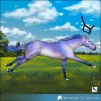 Horse Color:Gray Void Watercolor Brown Dun Tobiano