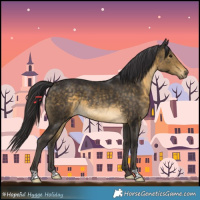 Horse Color:Buckskin 