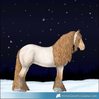 Horse Color:Red Roan Pearl 