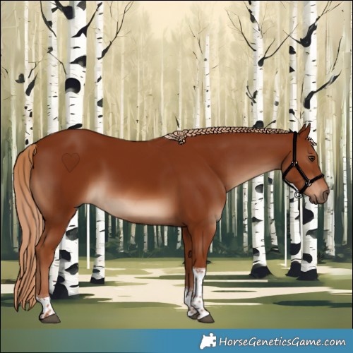 Horse Color:Chestnut Tobiano 