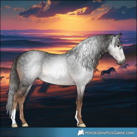Horse Color:Gray Liver Chestnut Rabicano 