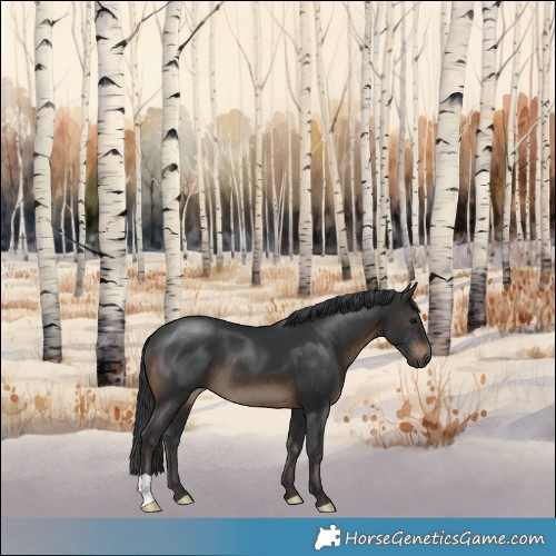 Horse Color:Brown 