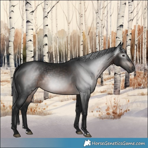 Horse Color:Gray Brown Rabicano