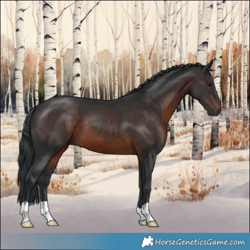 Horse Color:Brown Mushroom
