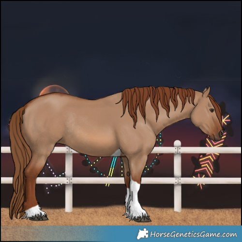 Horse Color:Red Dun Tobiano Rabicano 