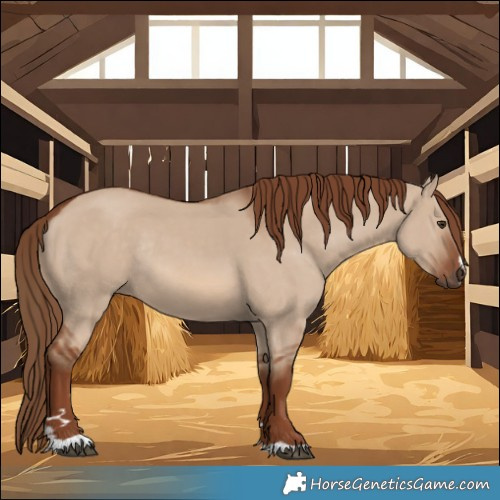 Horse Color:Red Dun Rabicano 