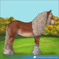 Horse Color:Chestnut Tobiano 