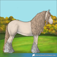 Horse Color:Perlino Dun 