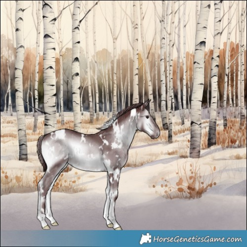 Horse Color:White Spotted Chocolate Blue Onyx Chinchilla 