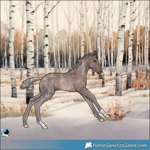 Horse Color:Chocolate Silver Brown Ice Rabicano 