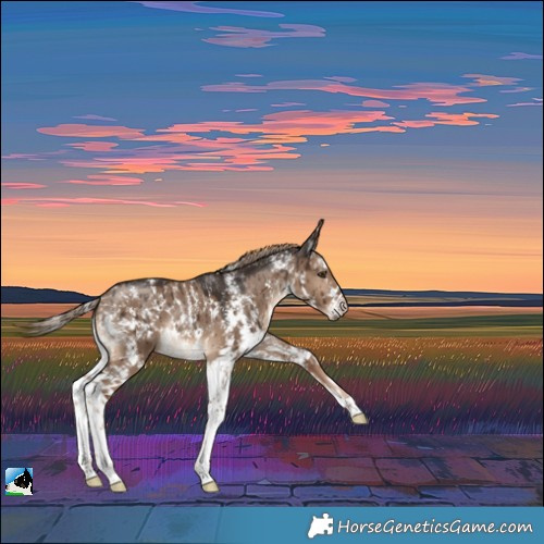 Horse Color:Liver Red Dun Sabino Brindle 