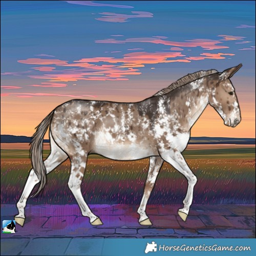 Horse Color:Liver Red Dun Sabino Brindle