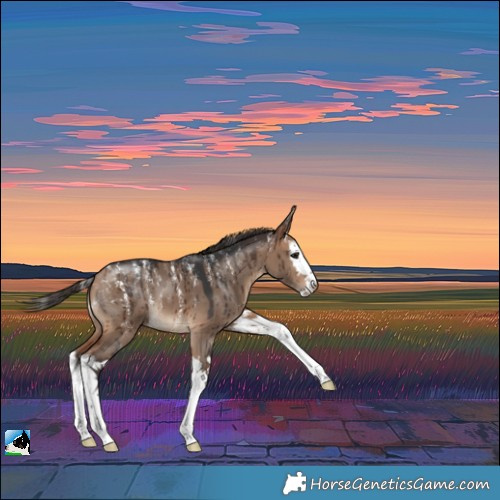 Horse Color:Powder White Bay Dun Splash Brindle 