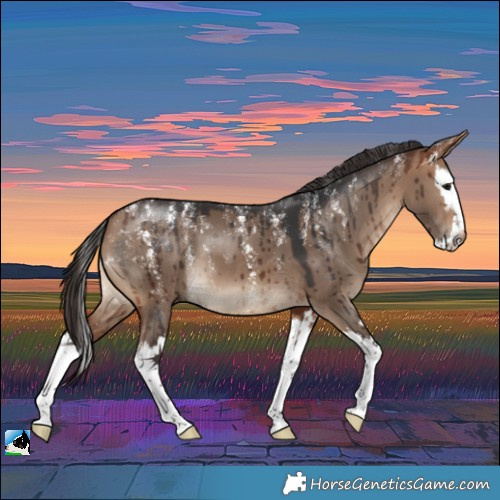 Horse Color:Powder White Bay Dun Splash Brindle 