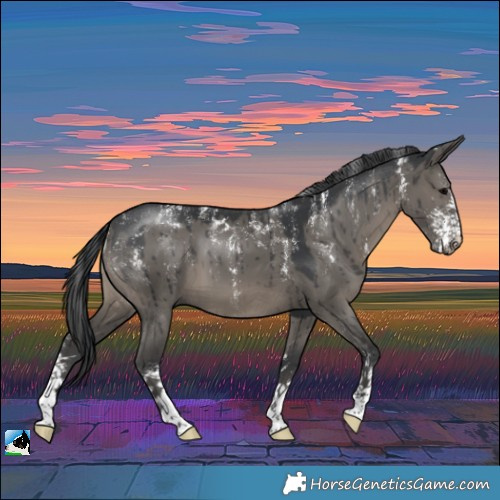 Horse Color:Powder White Grullo Sabino Brindle 