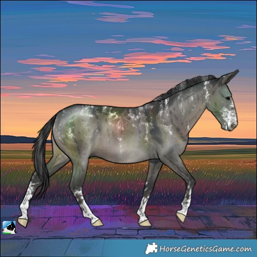 Horse Color:Powder White Grullo Sabino Brindle 